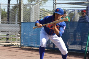 (Jacob Resnick/MetsMinors.Net)